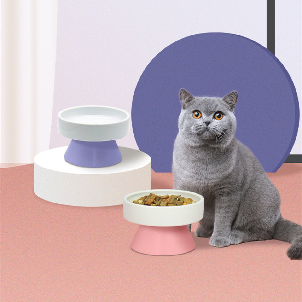 Raised ceramic cat bowl from Pawcuria Pets