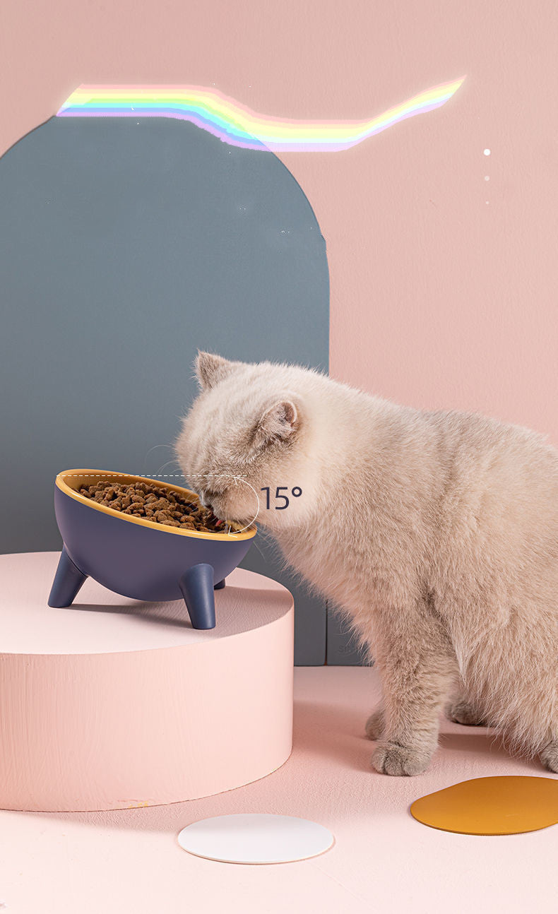 15° Tilted Pet Bowl with Stand – product image 3