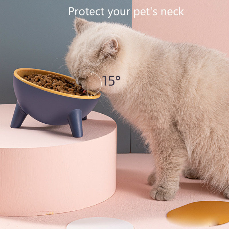 15° Tilted Pet Bowl with Stand – product image 2
