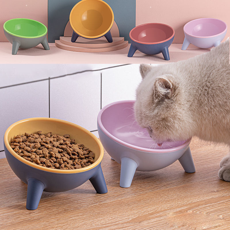 15° tilted pet bowl with raised stand in a modern colour