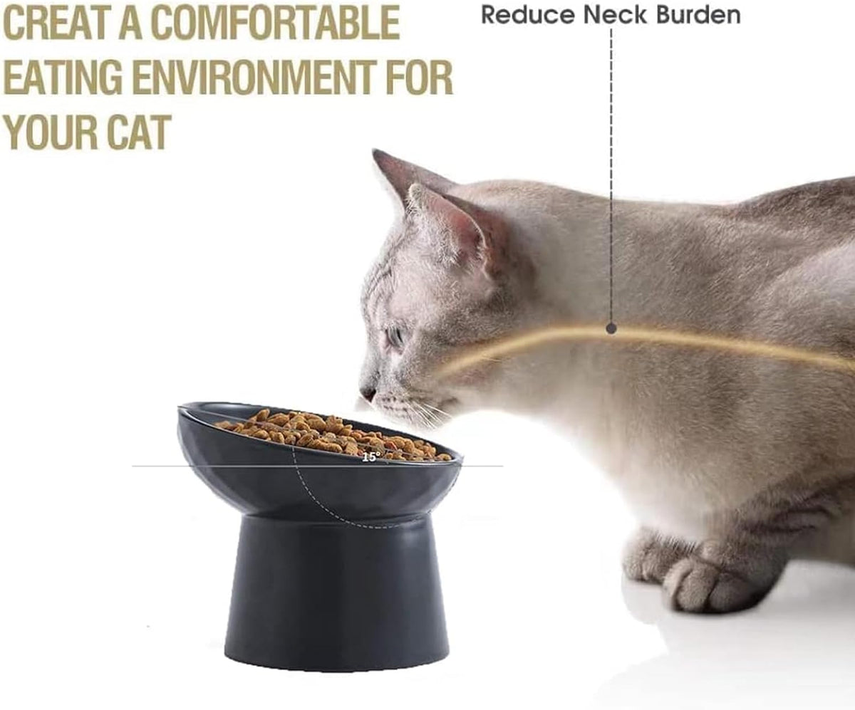 15° Raised Ceramic Cat Bowl Set - Black