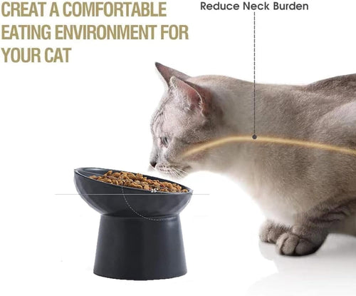 15° Raised Ceramic Cat Bowl Set - Black