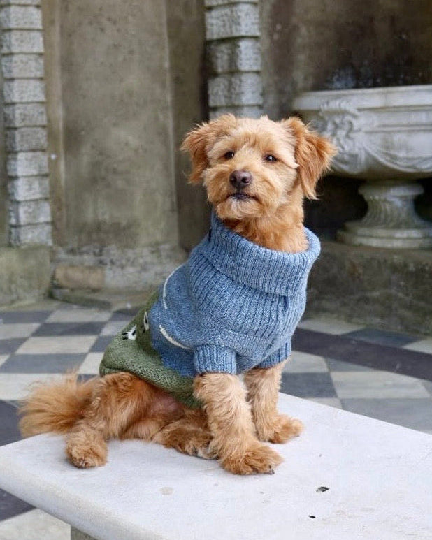 Blackface Sheep British Wool Dog Jumper - product view 3