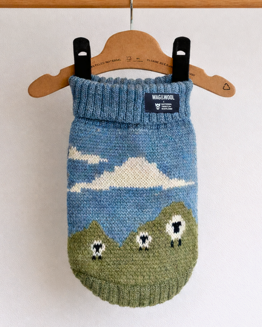 Blackface Sheep British Wool Dog Jumper - product view 4