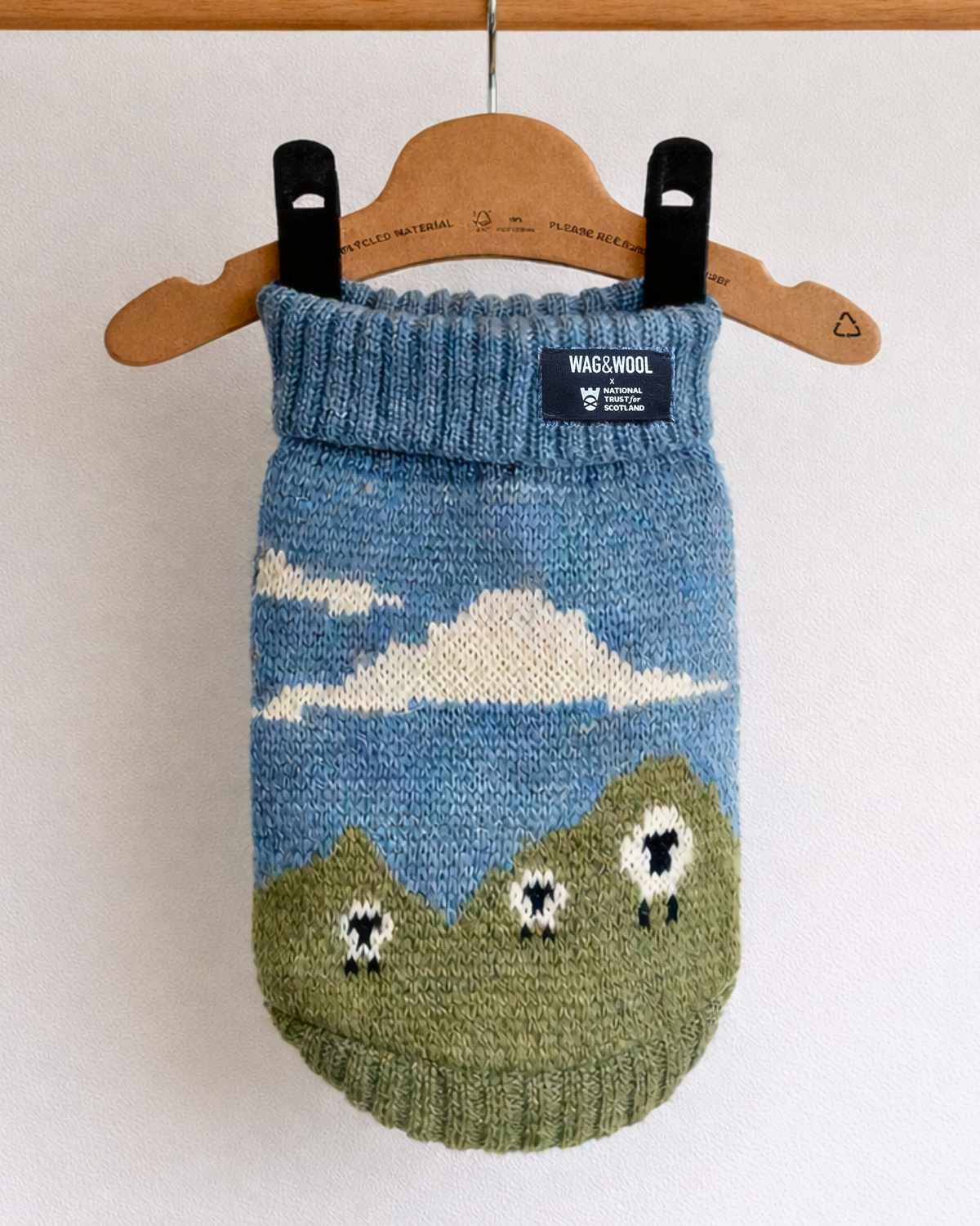 Blackface Sheep British Wool Dog Jumper - product view 4