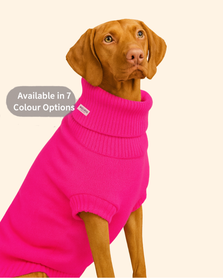 Extra Large British Wool Dog Jumper - product view 2