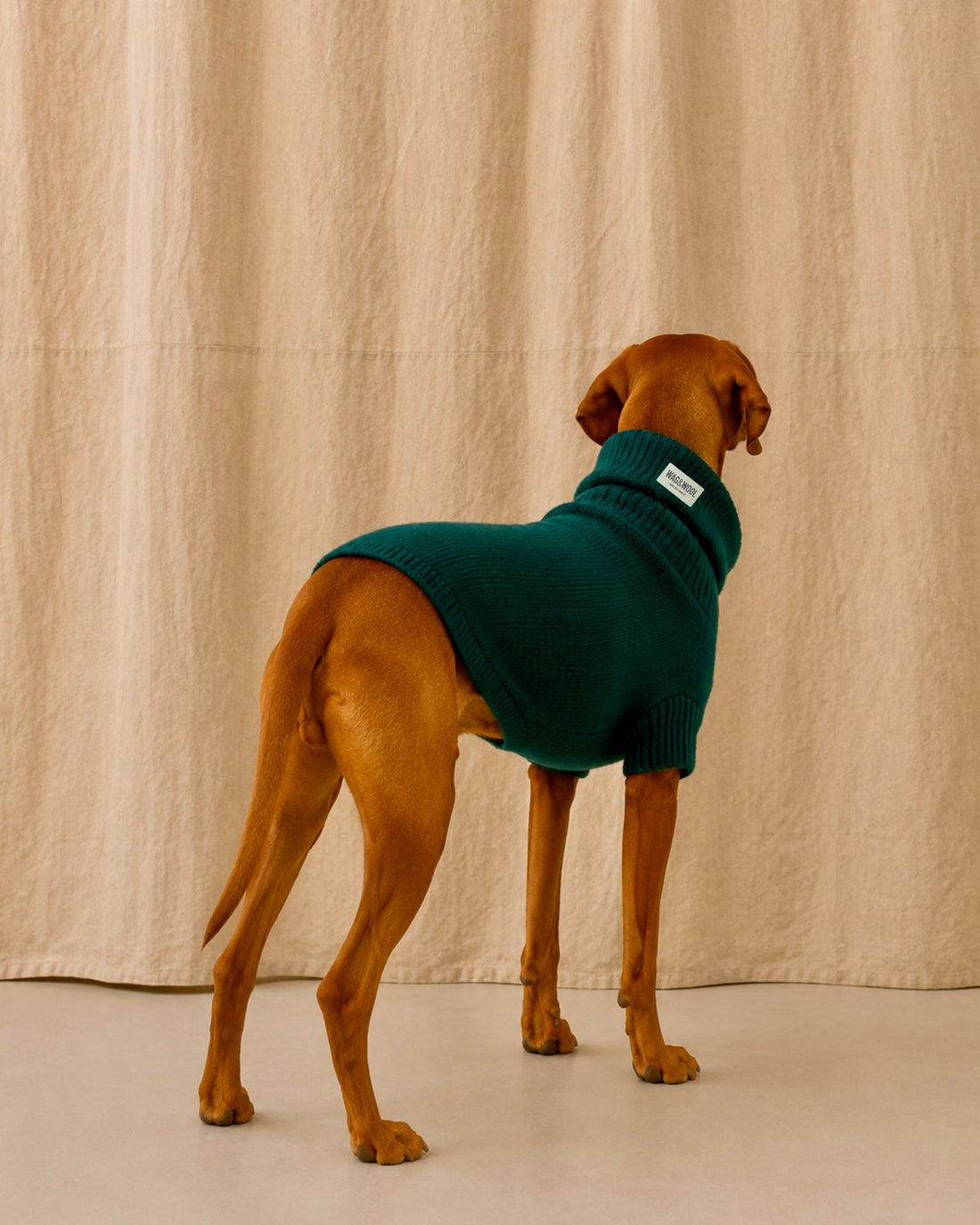 Extra Large British Wool Dog Jumper