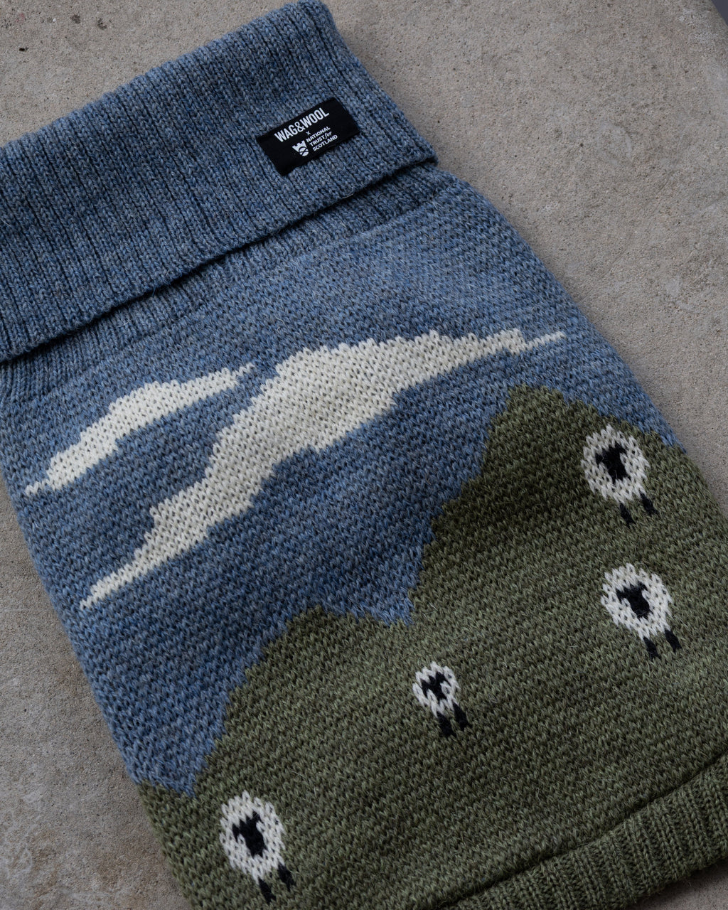 Blackface Sheep British Wool Dog Jumper - product view 7