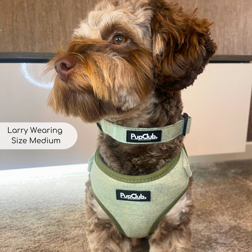 Sage Tweed Dog Collar - product view 3