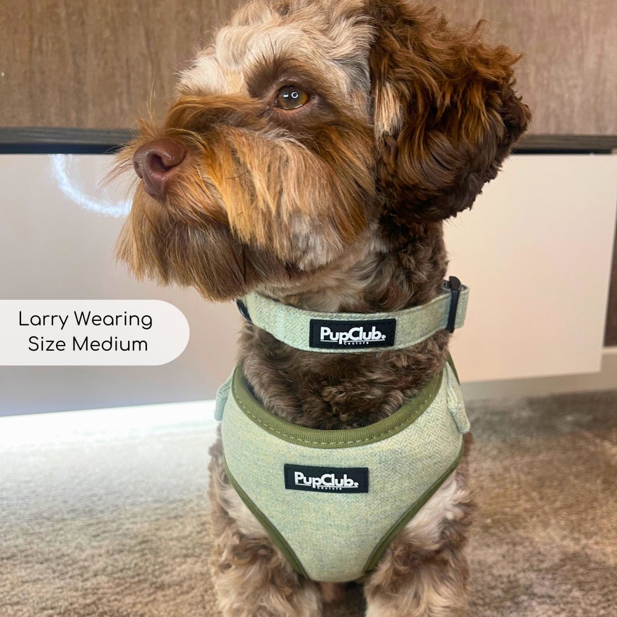 Sage Tweed Dog Collar - product view 3