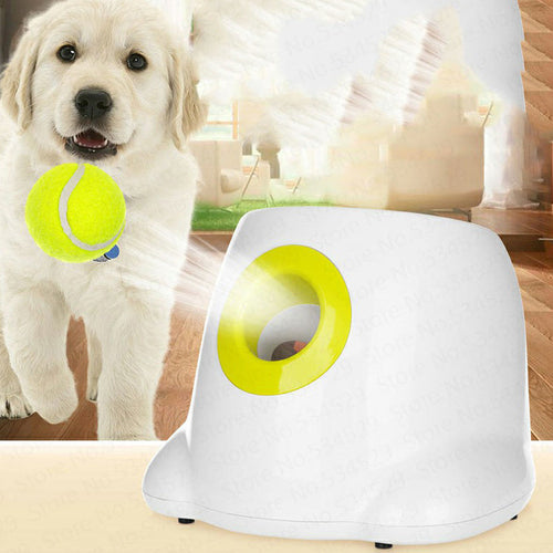 Automatic dog ball launcher starter bundle with UK plug and refill balls