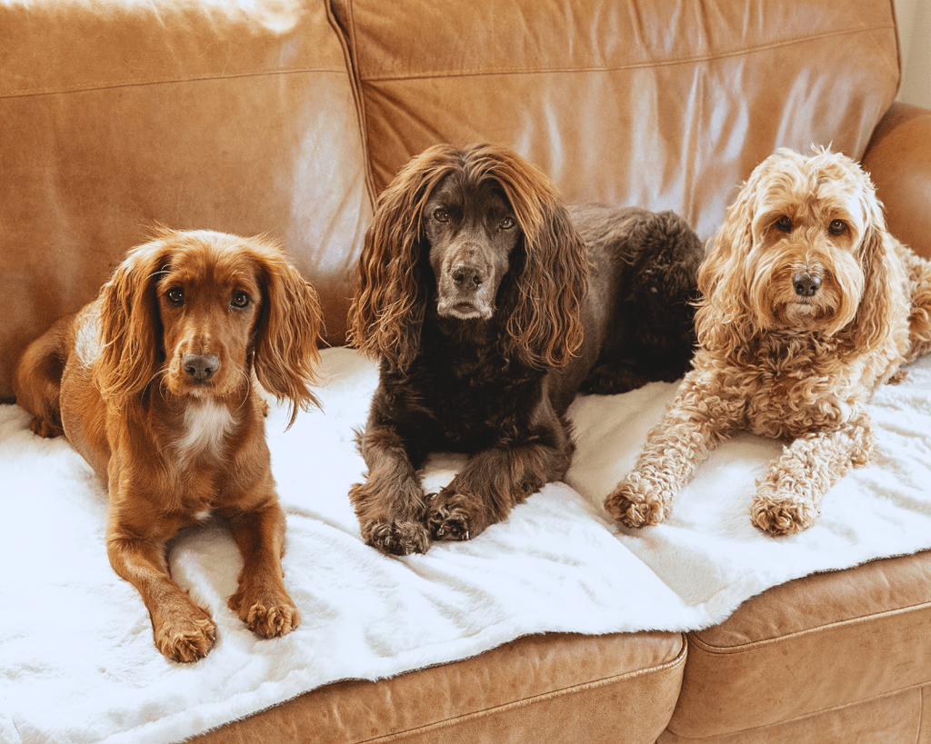 The Lincoln Tweed & Faux Fur Reversible Dog Blanket - product view 4