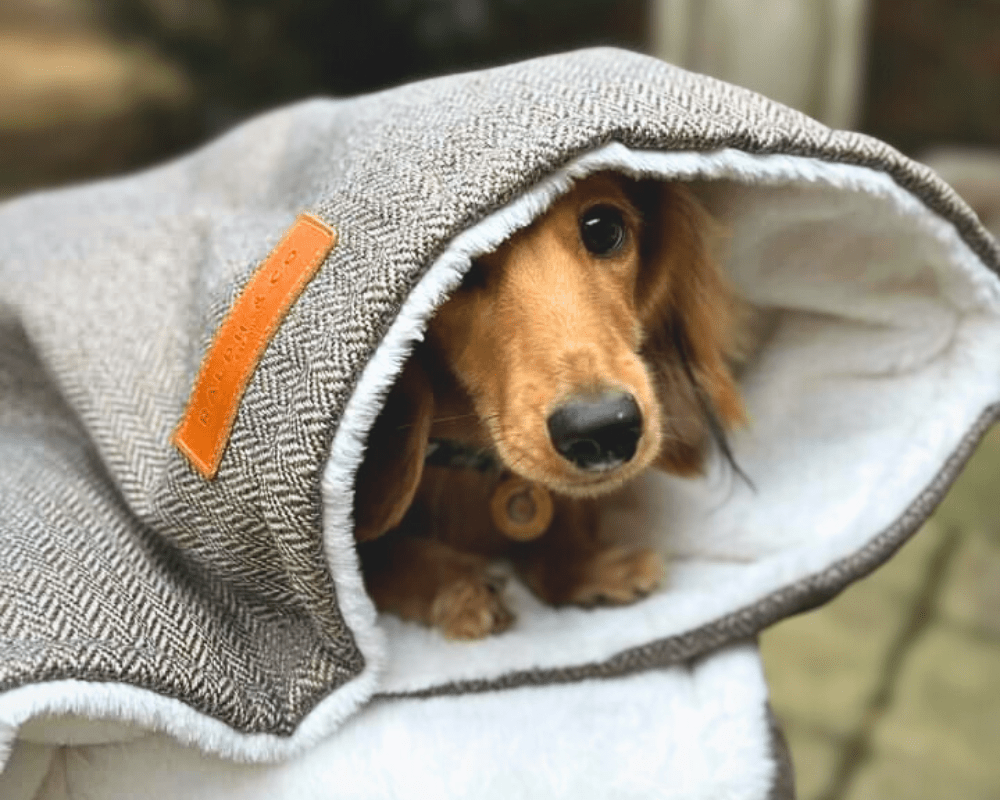 The Lincoln Tweed & Faux Fur Reversible Dog Blanket - product view 7
