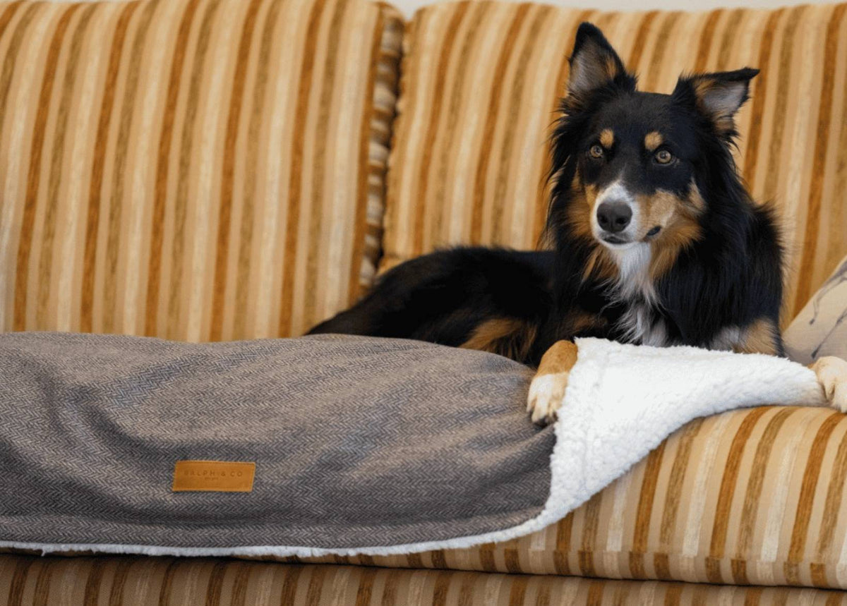 The Lincoln Tweed & Faux Fur Reversible Dog Blanket - product view 2