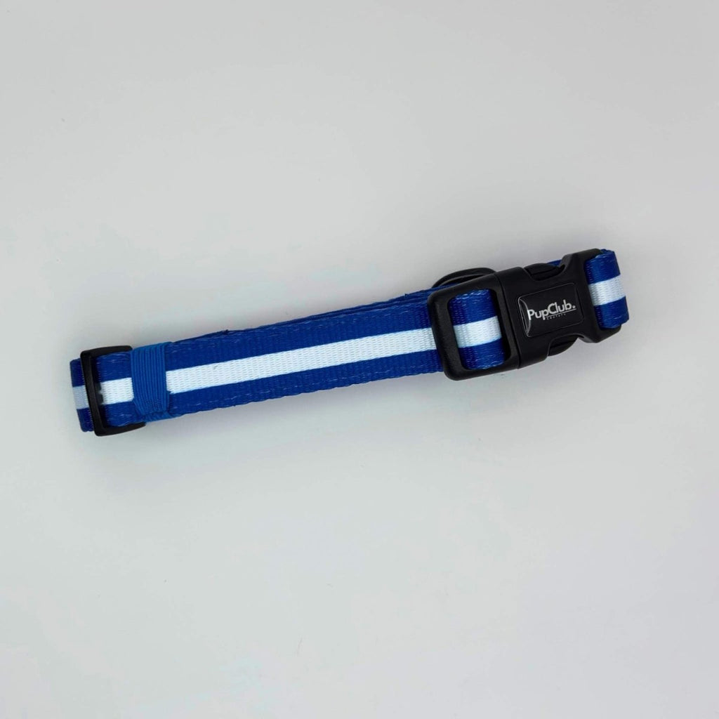 Royal Blue Dog Collar - product view 2