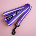 Lilac Blush Dog Lead