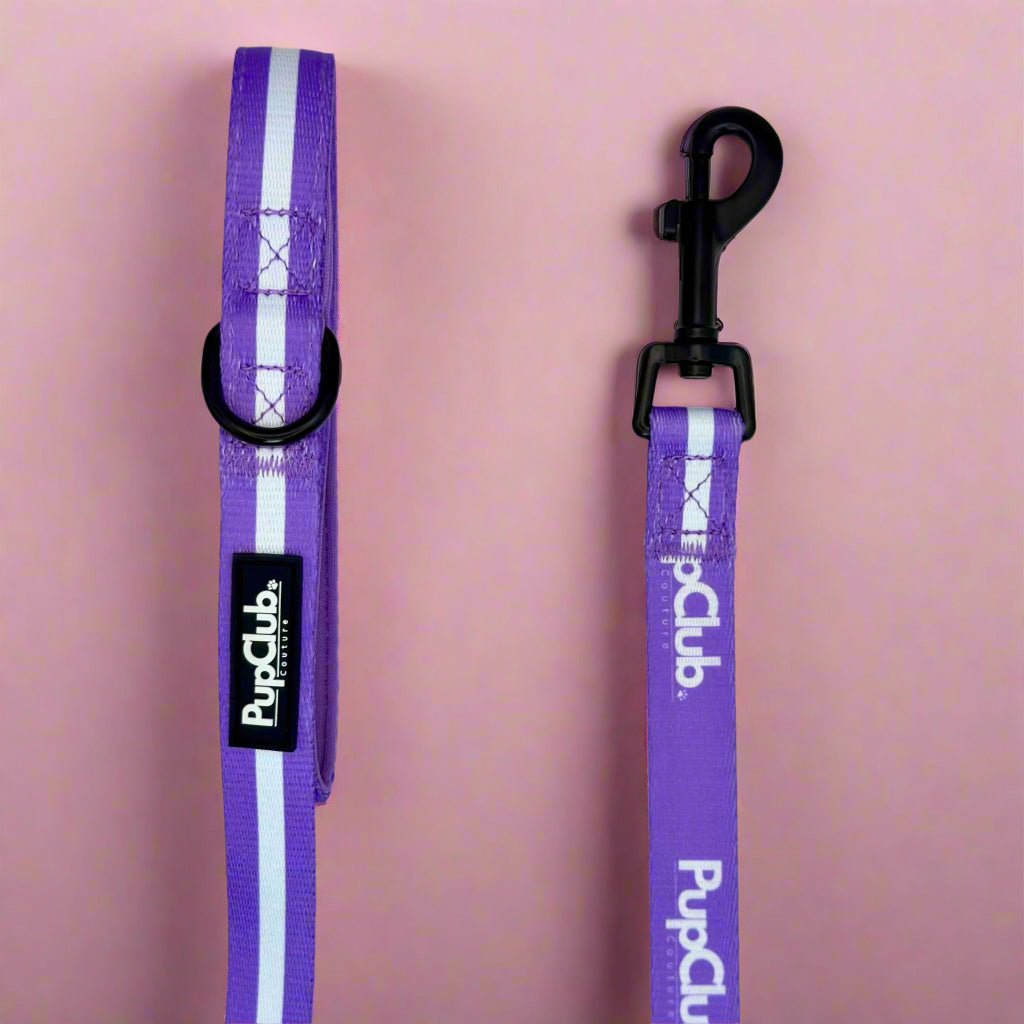 Lilac Blush Dog Lead - product view 2