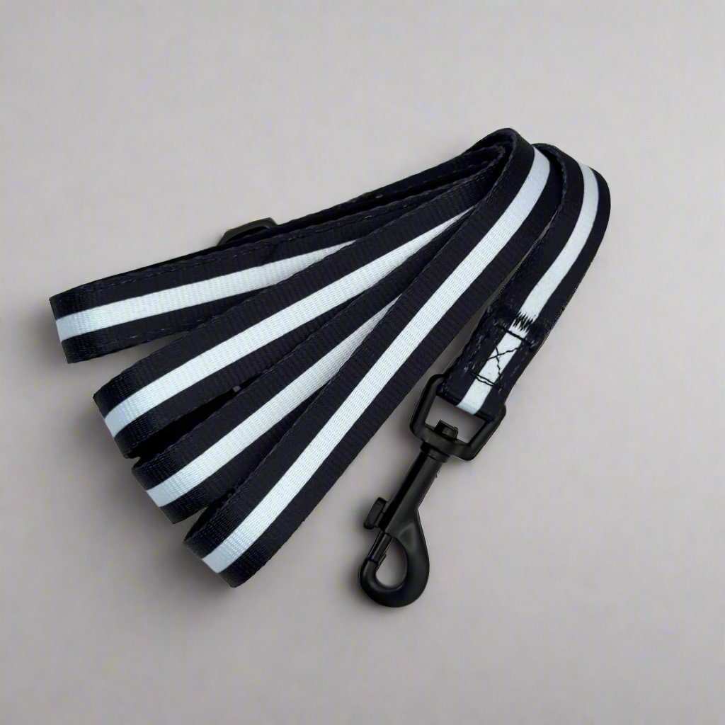 Midnight Black Dog Lead