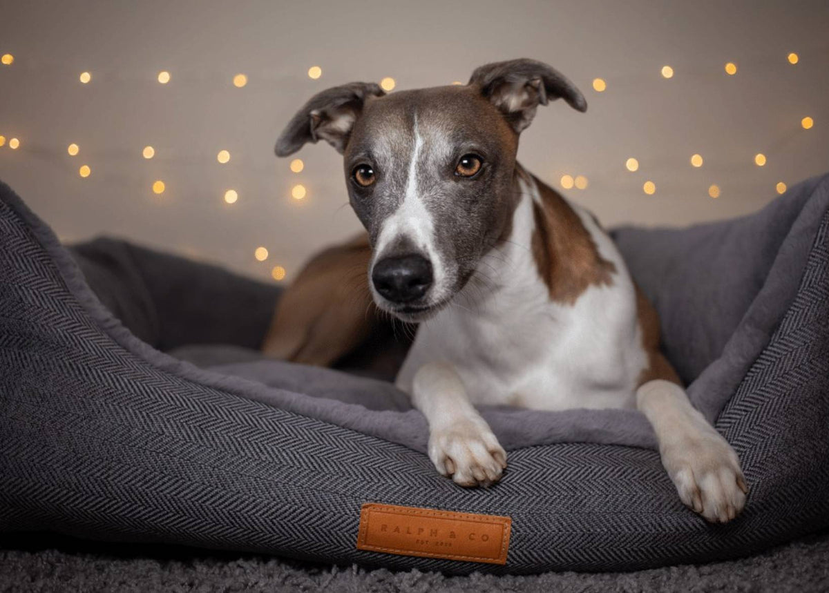 The Balmoral Herringbone Bolster Dog Bed – product image 2
