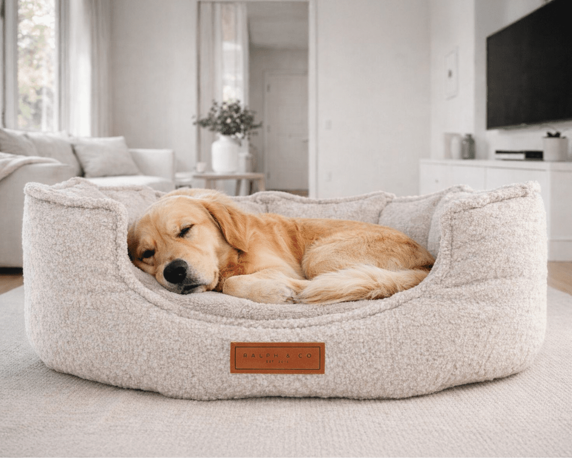 The Cotswold Bouclé High-Wall Dog Bed – product image 8