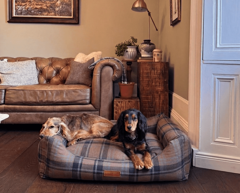 The Marlow Tartan Orthopaedic Bolster Dog Bed – product image 2