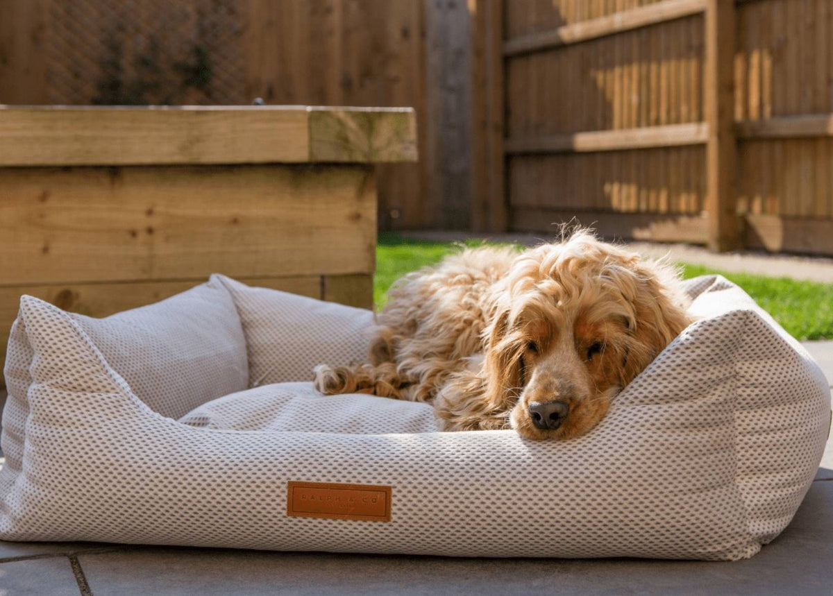 The Chatsworth Memory Foam Bolster Dog Bed – product image 2