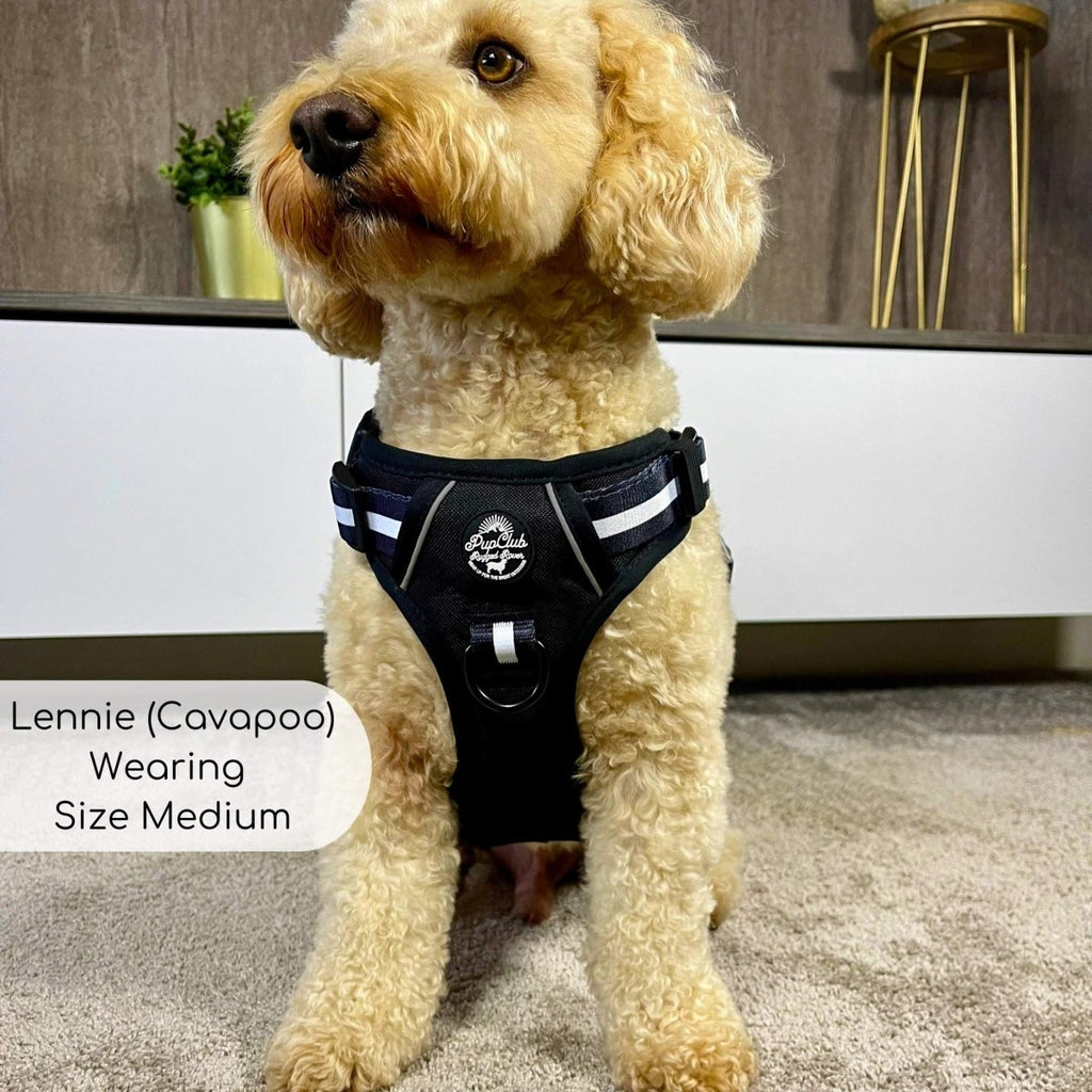 Rugged Rover™ No-Pull Dog Harness – Midnight Black