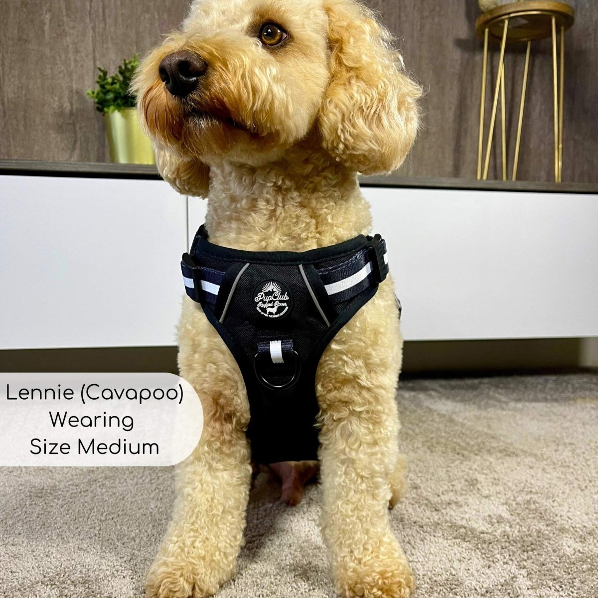 Rugged Rover™ No-Pull Dog Harness – Midnight Black